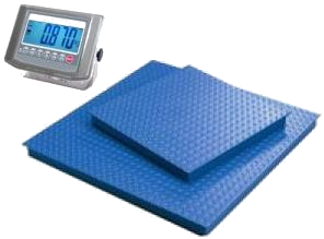 Scale Calibration Service